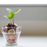Common Mistakes Business Owners Make When Opting For Capital Growth Funds