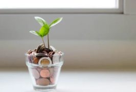 Common Mistakes Business Owners Make When Opting For Capital Growth Funds